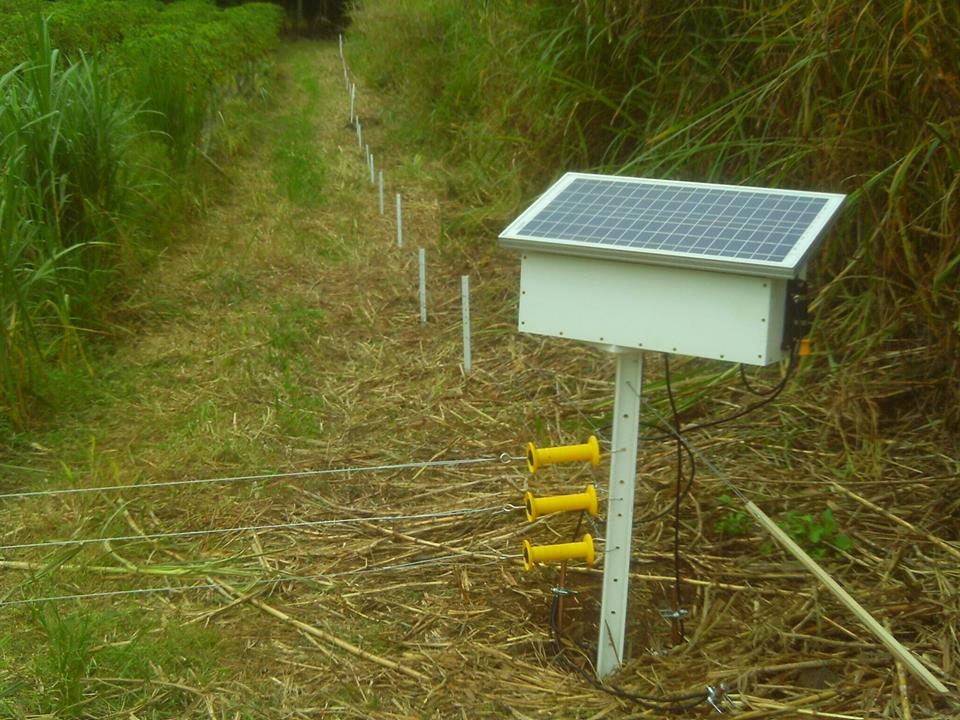 Electric fence insulator trick for rotational grazing paddocks