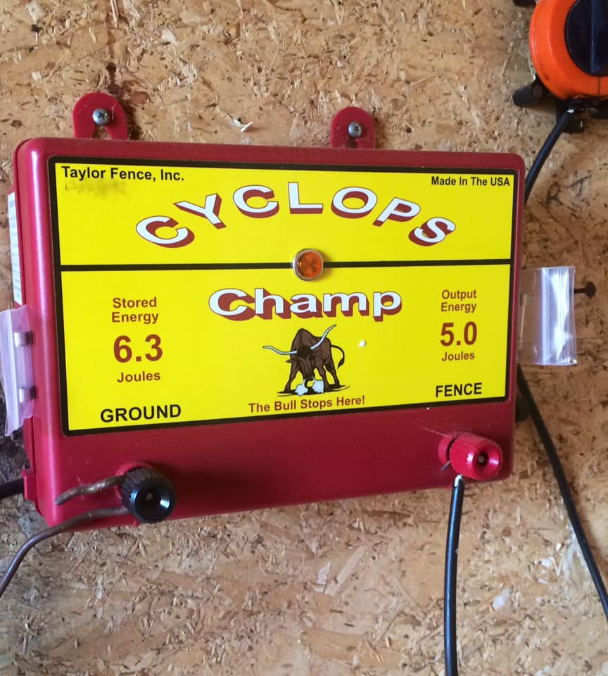 Got Feral Hogs? Which electric fence charger to use?