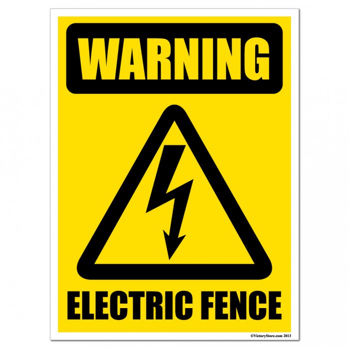 Why do we need to check electric fence for problems?