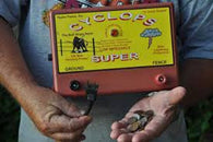 AC Powered Energizers | Free USA Shipping