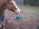 Lapp horse waterer