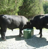 Lapp cattle waterer