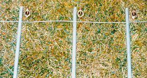Complete Fence Charger Ground Rod Kit -