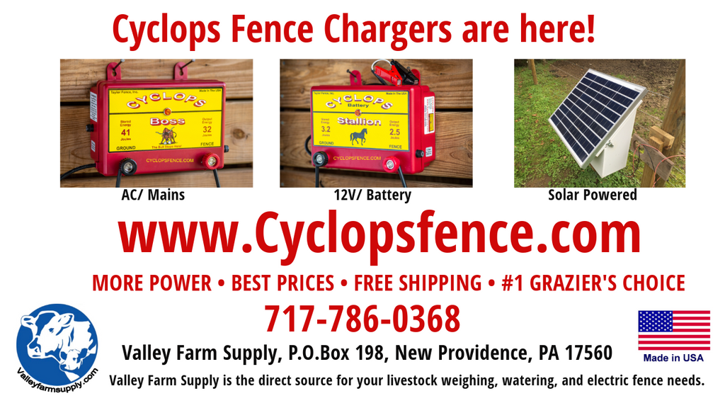 Cyclops Fence Charger - More Power - Best Price