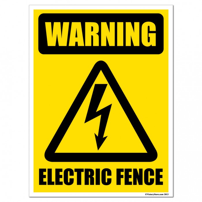 Why do we need to check electric fence for problems?